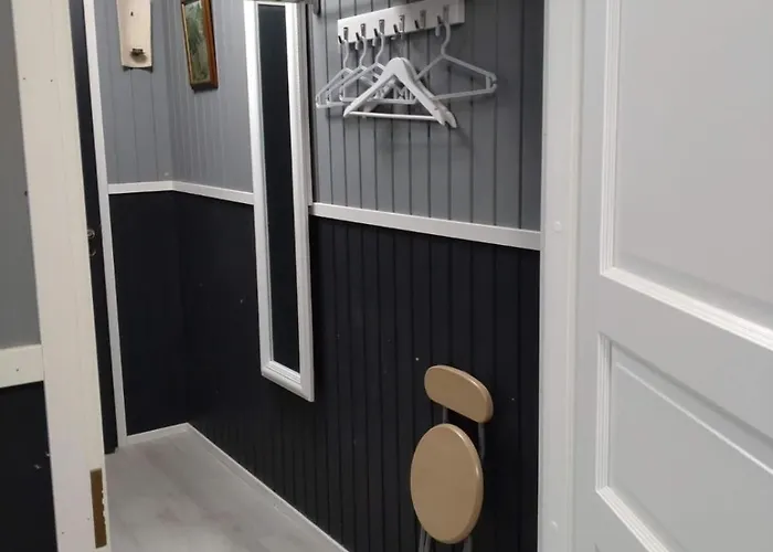 Dream 公寓 Muuruvesi